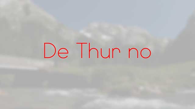 Logo De Thur no